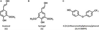 Enzyme Catalyzed Copolymerization of Lignosulfonates for Hydrophobic Coatings